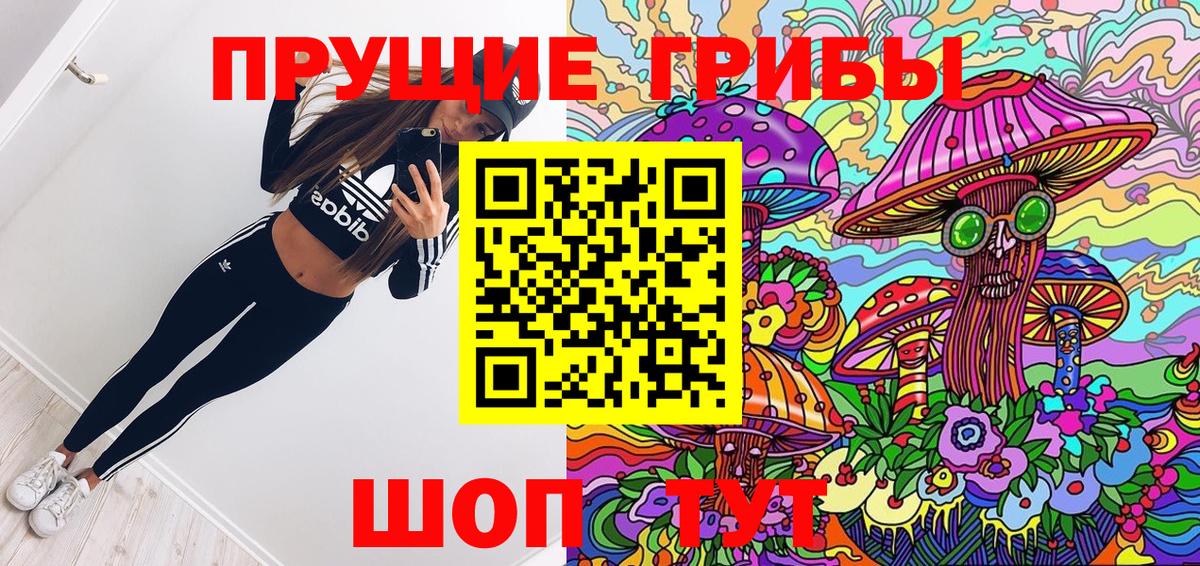 Галлюциногенные грибы Psilocybe Мончегорск